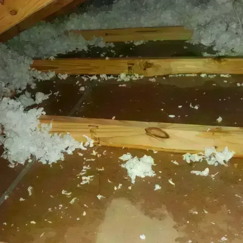 Attic Water Damage in Sylvania, AL