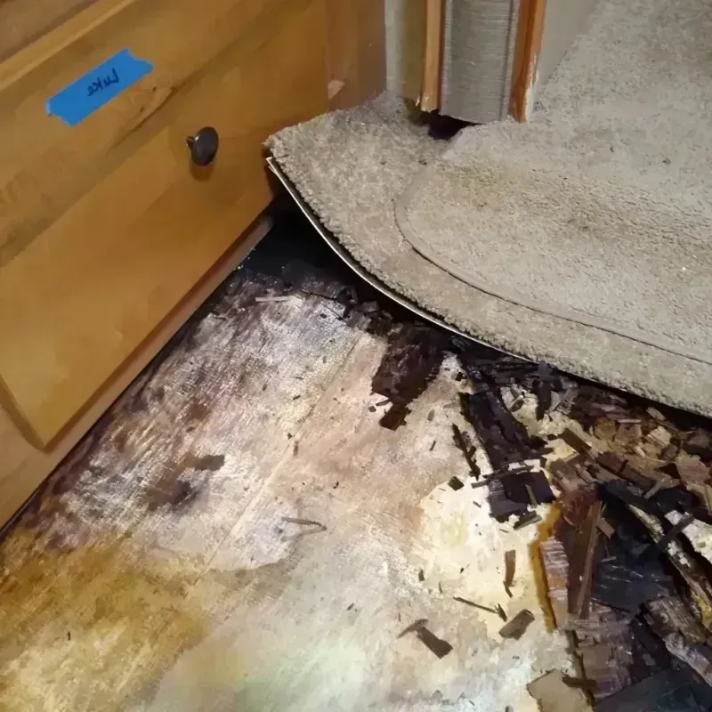 Wood Floor Water Damage in Sylvania, AL